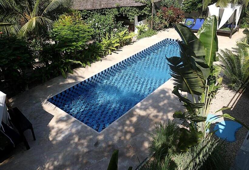 اتاق استاندارد با چشمانداز استخر, Aurora Boutique Hotel Jambiani