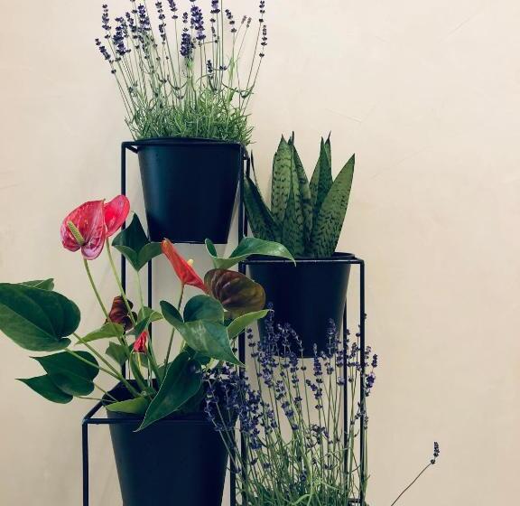 سوییت با چشمانداز باغ, Suites Le Porte Bonheur