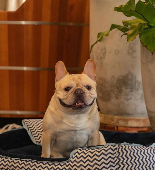 스탠다드 룸 킹사이즈 침대, Secreto Boutique