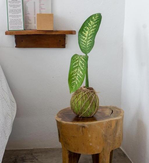 اتاق استاندارد با تراس, Xcabal Hotel Boutique