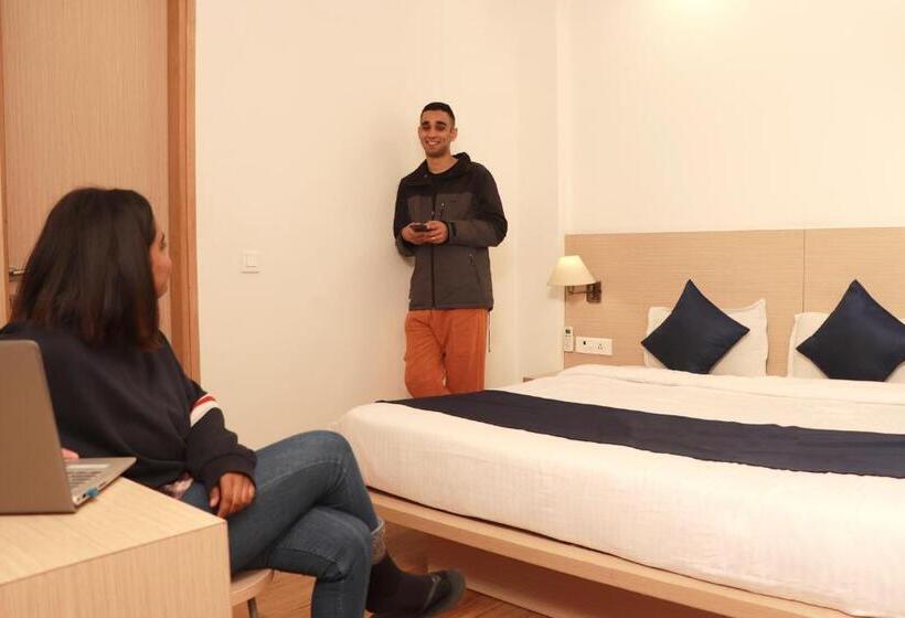 غرفة قياسية, The Blue Jay Hostel