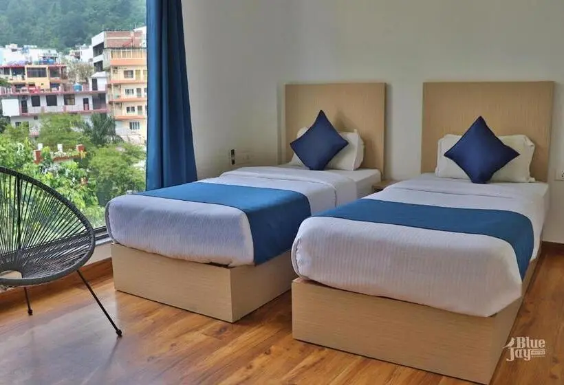 Deluxe Zimmer, The Blue Jay Hostel