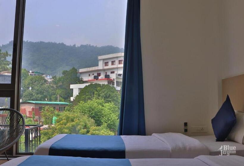 اتاق لوکس, The Blue Jay Hostel