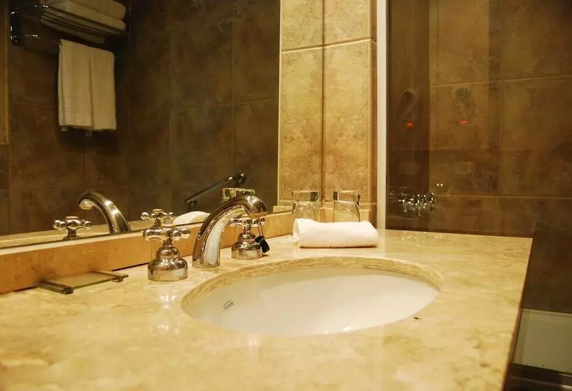 اتاق اکونومی, Cacique Inacayal Lake Hotel & Spa