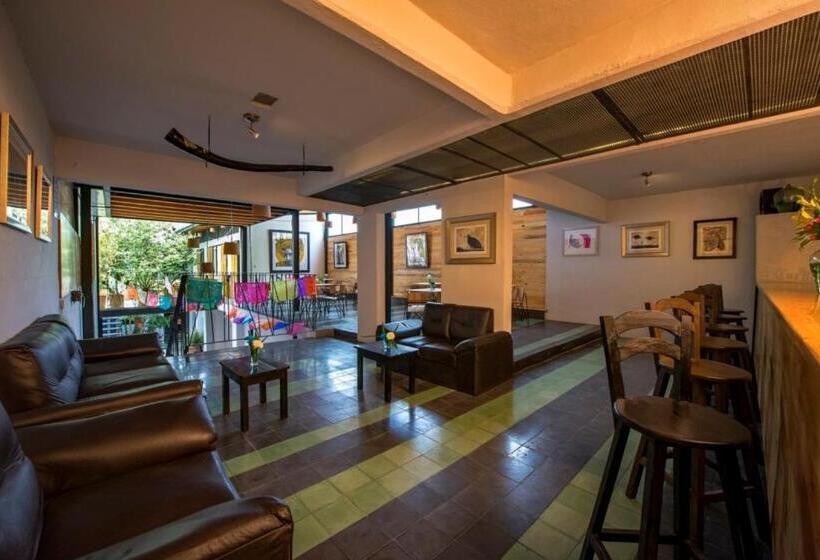 غرفة قياسية, Hospedaje Donaji