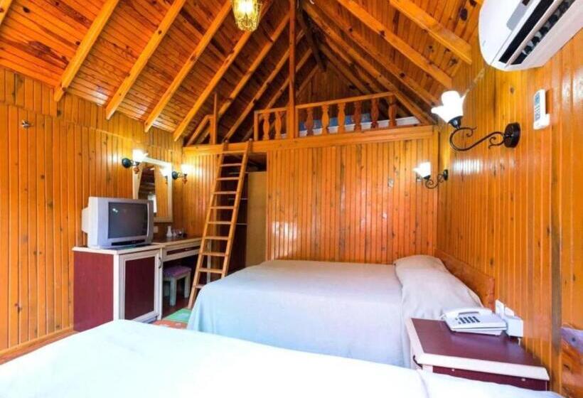 بنجلو قياسى, Clover Magic Nova Beach