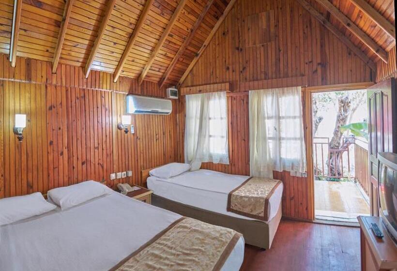 بنجلو قياسى, Clover Magic Nova Beach