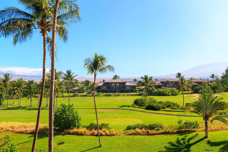 اتاق استاندارد, Funchal Design