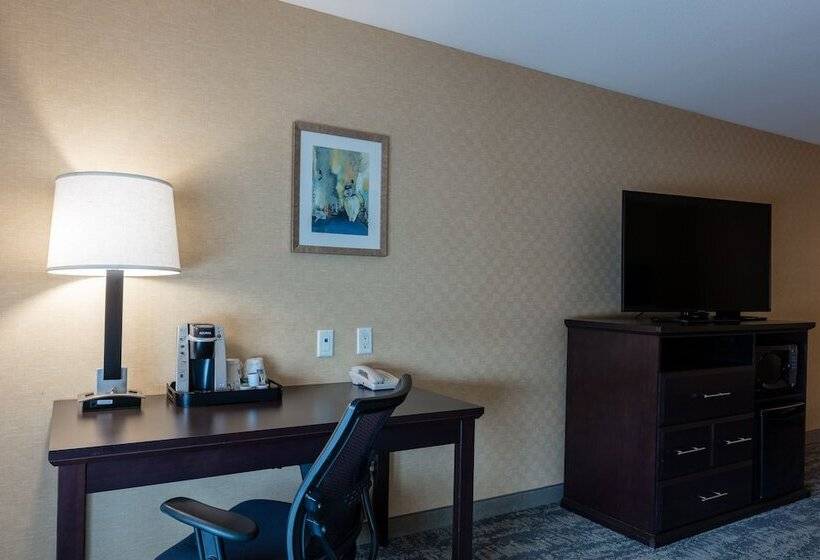 スタンダードルーム, Holiday Inn Express & Suites Riverport Richmond, An Ihg