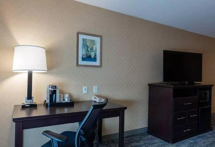 اتاق استاندارد, Holiday Inn Express & Suites Riverport Richmond, An Ihg