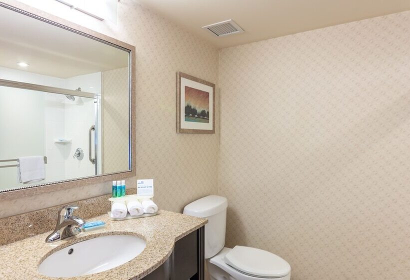 スイート, Holiday Inn Express & Suites Riverport Richmond, An Ihg