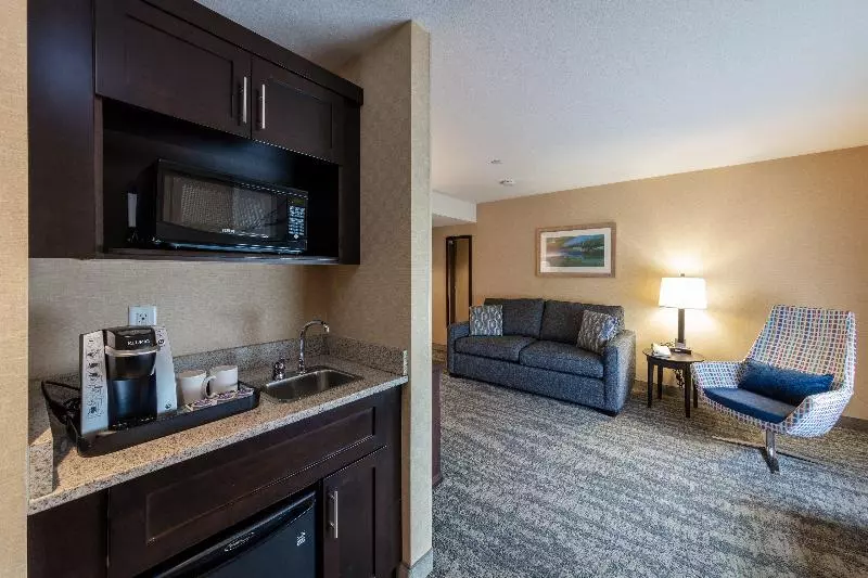 سوئیت با تخت بزرگ, Holiday Inn Express & Suites Riverport Richmond, An Ihg