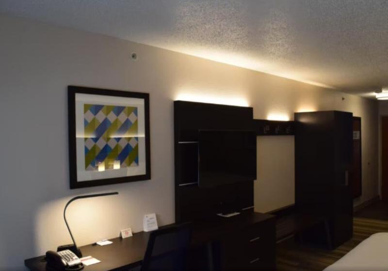 スタンダードルーム, Holiday Inn Express & Suites Riverport Richmond, An Ihg
