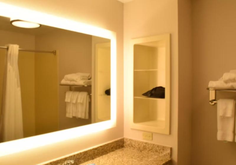 スタンダードルーム, Holiday Inn Express & Suites Riverport Richmond, An Ihg