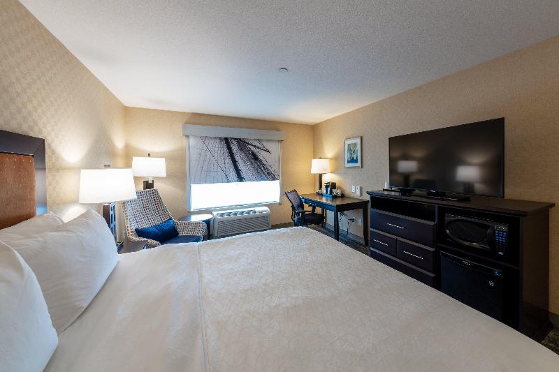 キングサイズベッドのスタンダードルーム, Holiday Inn Express & Suites Riverport Richmond, An Ihg