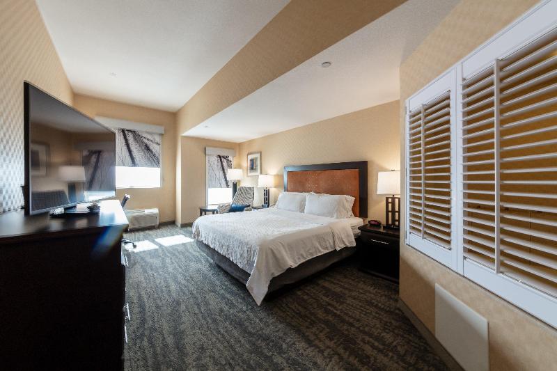 キングサイズベッドのスイートルーム, Holiday Inn Express & Suites Riverport Richmond, An Ihg