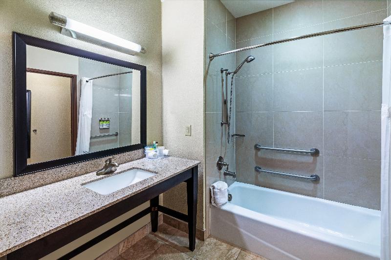 キングサイズベッドのスタンダードルーム, Holiday Inn Express & Suites Riverport Richmond, An Ihg