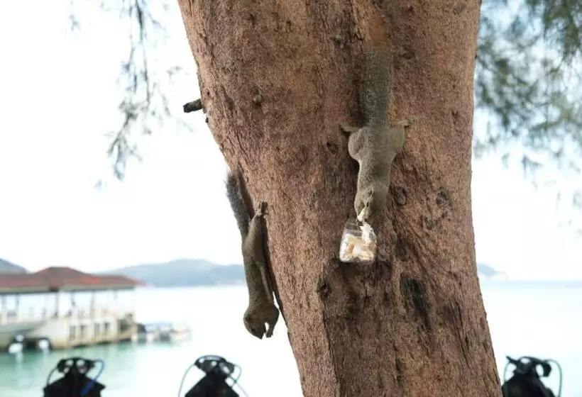 اتاق لوکس, Perhentian Island Resort