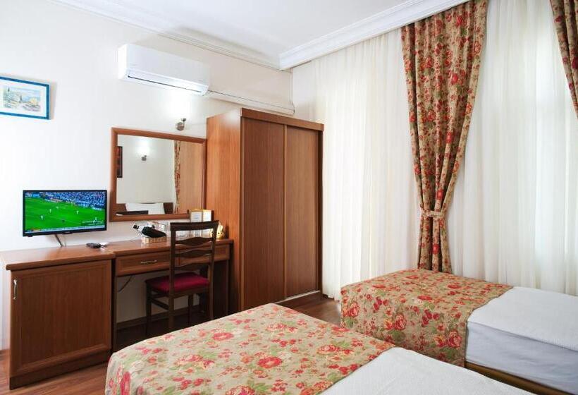 Quarto standard, Triana