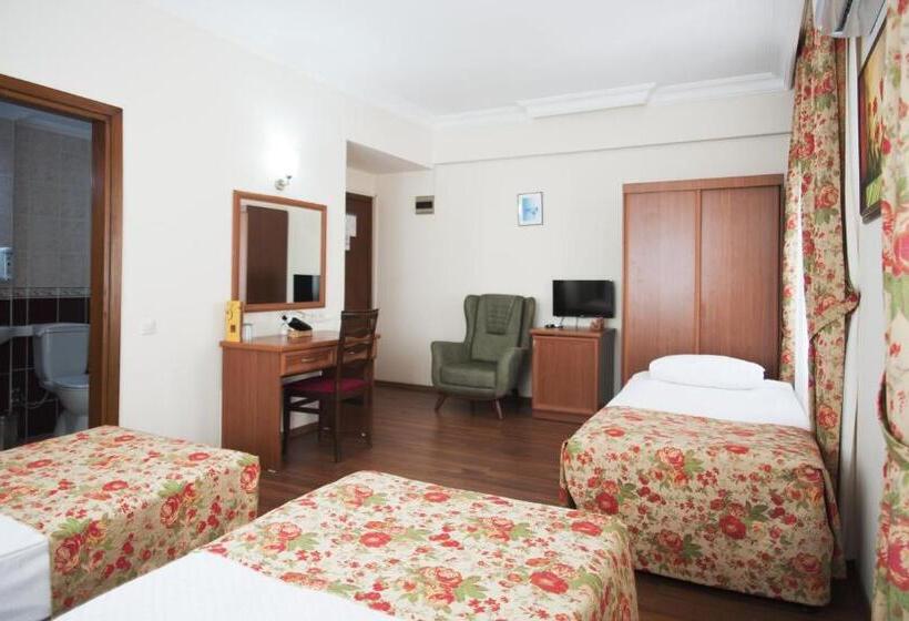 Quarto Triplo Standart, Triana