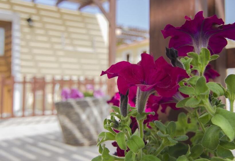 Номер Economy, Smaragdi