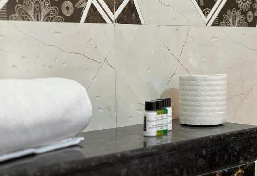 Номер Superior с Террасой, Pushkar Golden Haveli