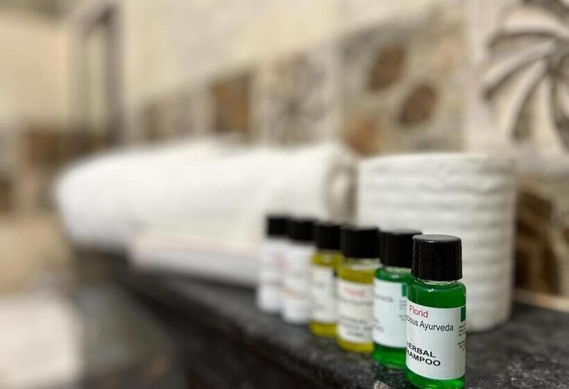 Номер Стандарт Вид на Горы, Pushkar Golden Haveli