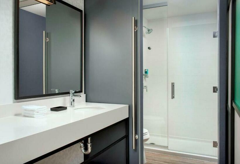 غرفة قياسية سرير كينج, Aloft Dallas Dfw Airport Grapevine