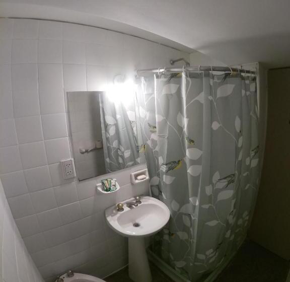 غرفة كلاسيكية ثلاثية, Juan B Justo