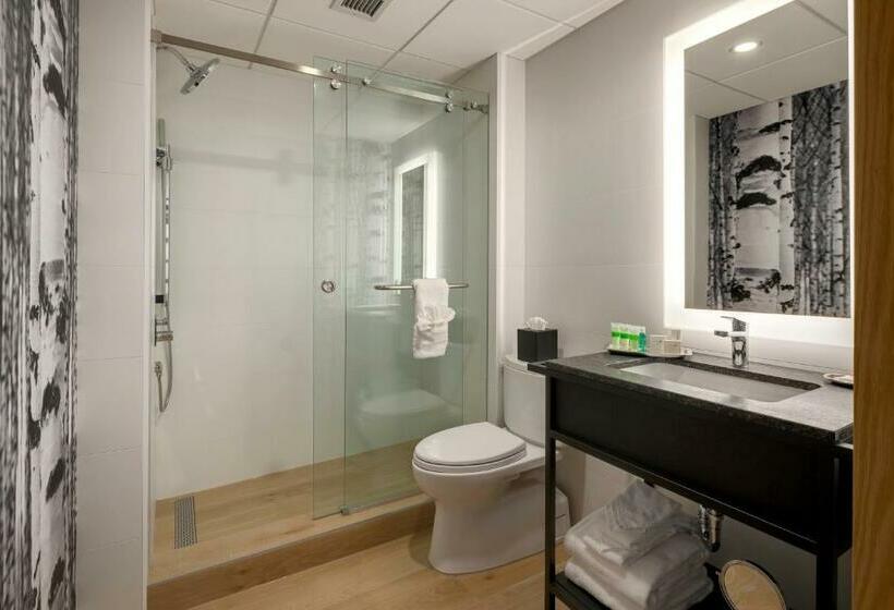 חדר סטנדרט עם מיטת קינג, Peaks Hotel And Suites