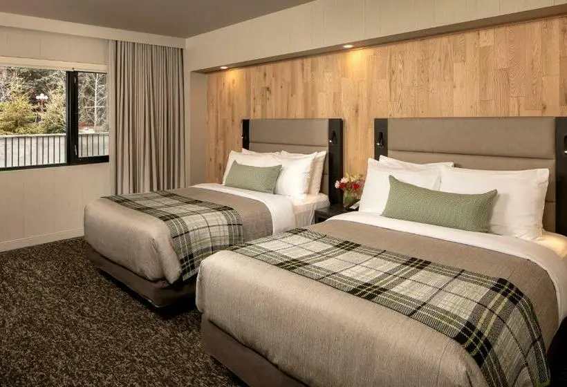 シングルデラックスルーム, Peaks Hotel And Suites
