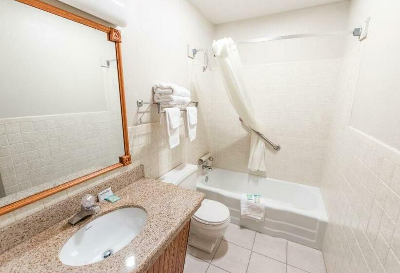 Номер Стандарт, Eleven Boutique Hotel Llc