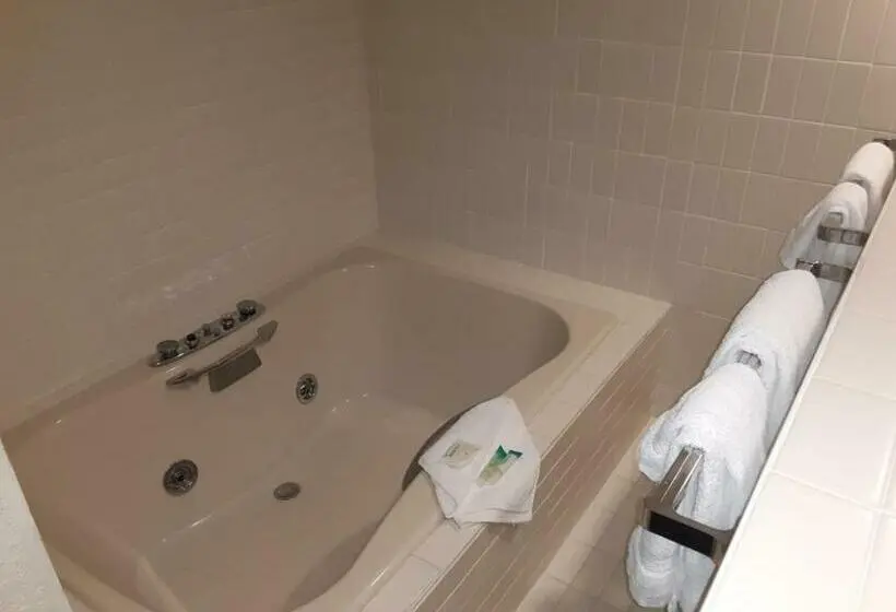 ハイドロマッサージバス付きスイート, Eleven Boutique Hotel Llc
