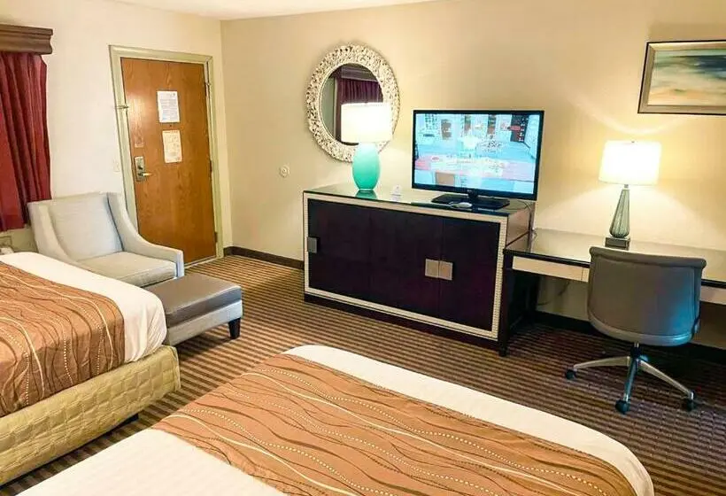 スタンダードルーム, Eleven Boutique Hotel Llc