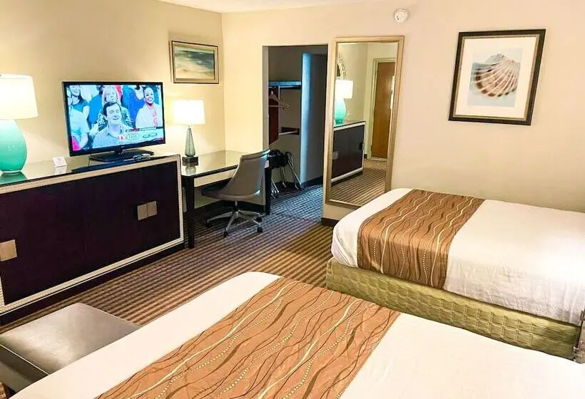 スタンダードルーム, Eleven Boutique Hotel Llc
