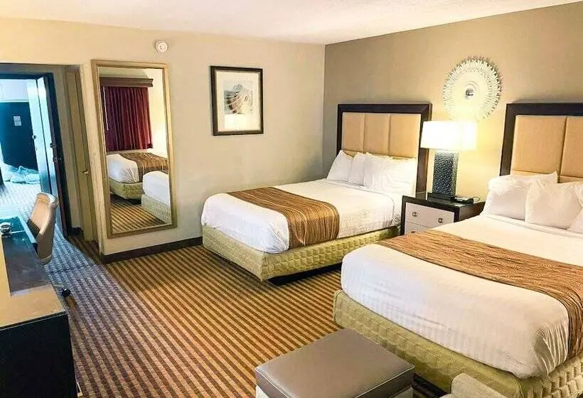 スタンダードルーム, Eleven Boutique Hotel Llc