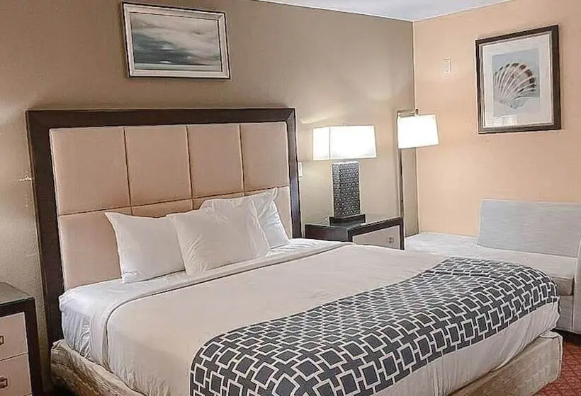 スタンダードルーム, Eleven Boutique Hotel Llc