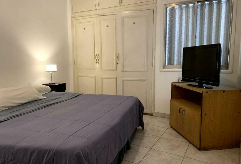 חדר סטנדרט יחיד, Palace Hotel Mendoza