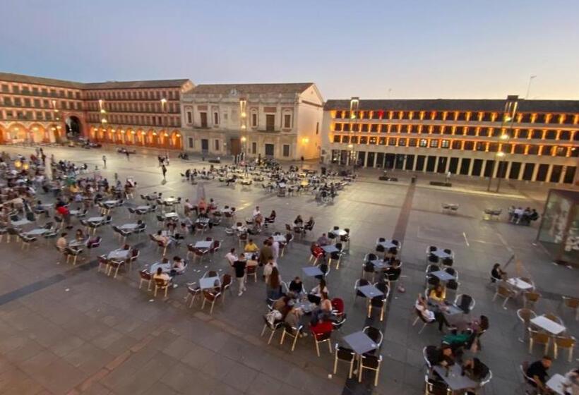 اتاق استاندارد چهار تخته, Hostel Plaza Mayor Corredera