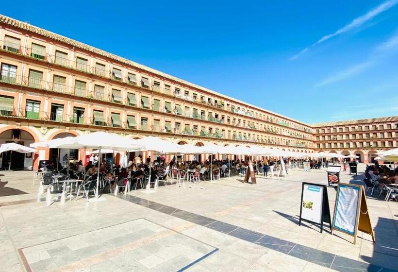 اتاق کلاسیک چهارنفره, Hostel Plaza Mayor Corredera