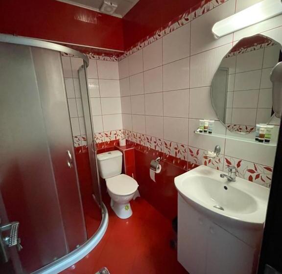 غرفة قياسية, Dunav