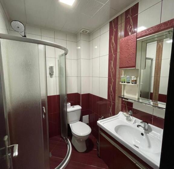 غرفة قياسية, Dunav