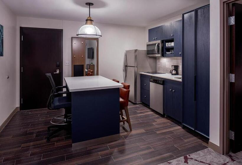 سوئیت با تخت بزرگ, Hyatt House Tampa Downtown