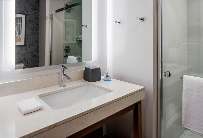 סטודיו סטנדרט מיטה זוגית, Hyatt House Tampa Downtown