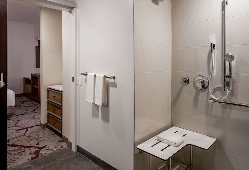 סטודיו סטנדרט מיטה זוגית, Hyatt House Tampa Downtown