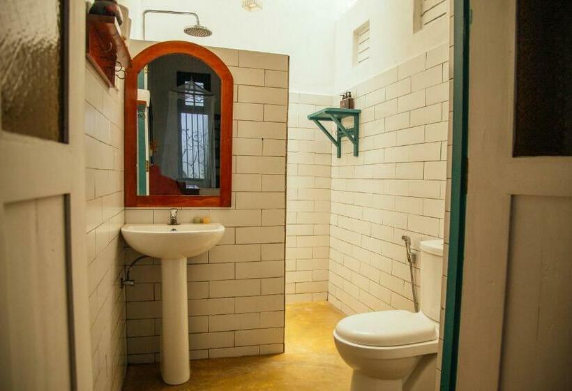 标准平房, Dots Bay House