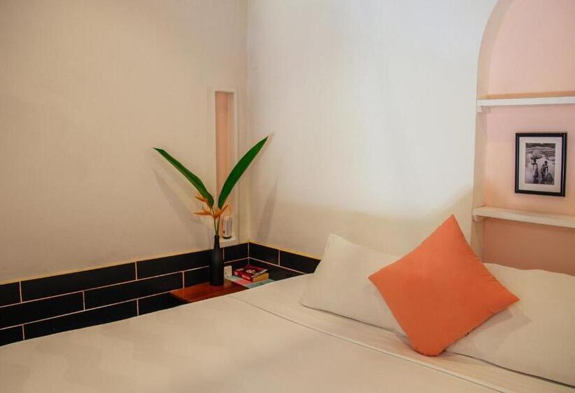 标准间, Dots Bay House