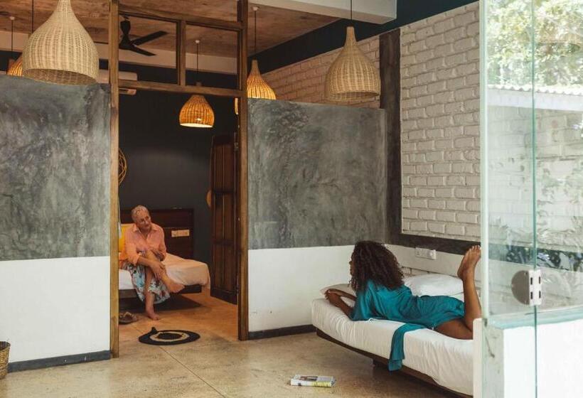 家庭套房, Dots Bay House