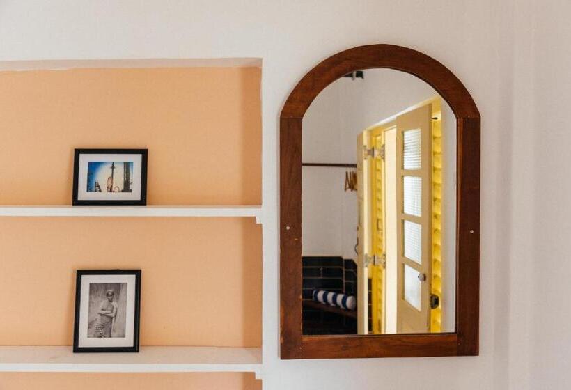 豪华房间, Dots Bay House