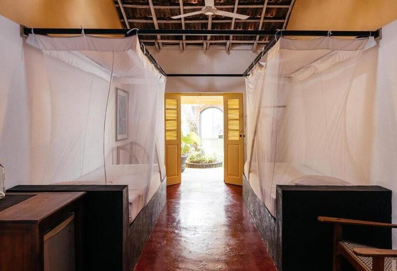 家庭套房, Dots Bay House